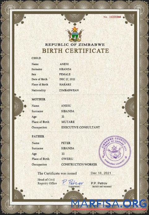 Printable Zimbabwe vital record birth certificate PSD template
